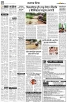 বাংলার দিগন্ত:8